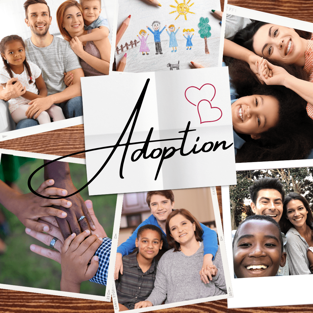 Adoption Awareness Month - Climate Shield Home Exteriors